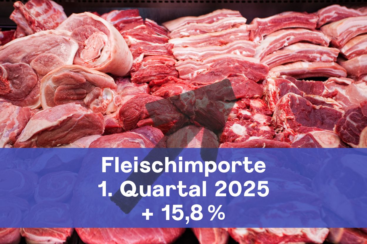 Mehr Schweizer Fleisch und trotzdem mehr Importe: Finde den Widerspruch!