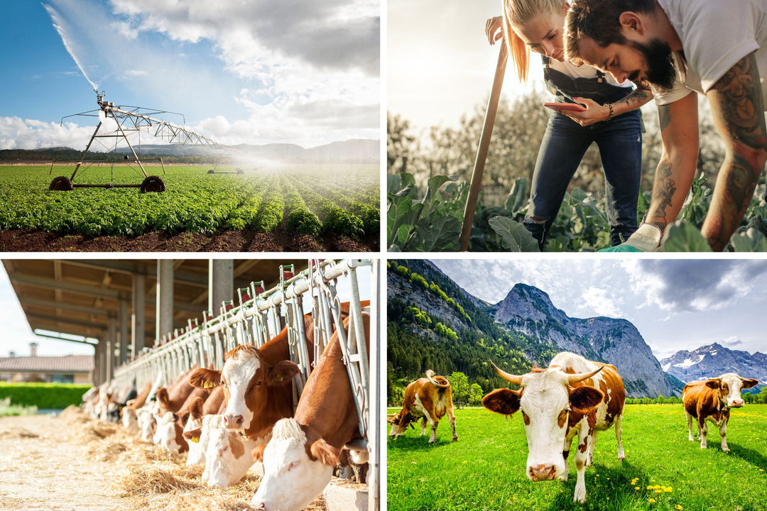Bio-Landwirtschaft – Was ist das? - Alpahirt