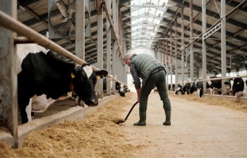 Bio-Landwirtschaft – Was ist das? - Alpahirt