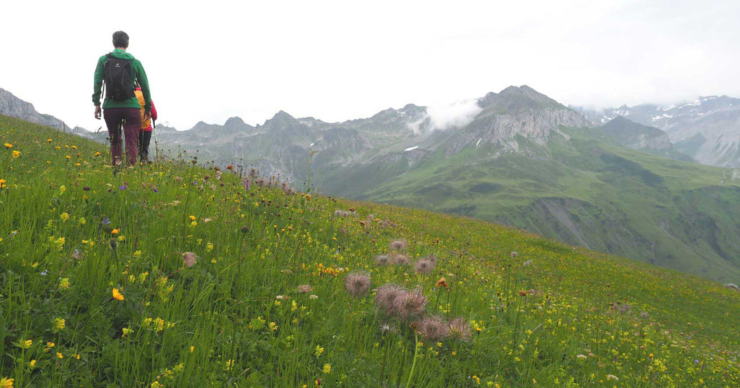 Biodiversität - Die Vielfalt des Lebens - Alpahirt