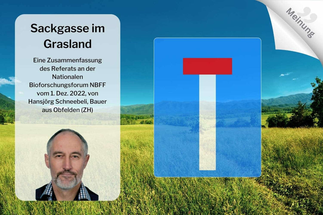 Meinung: Sackgasse im Grasland - Alpahirt
