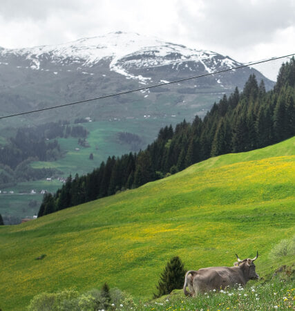 Ohne Kraftfutter, ohne Stress: So bleibt die Natur im Gleichgewicht