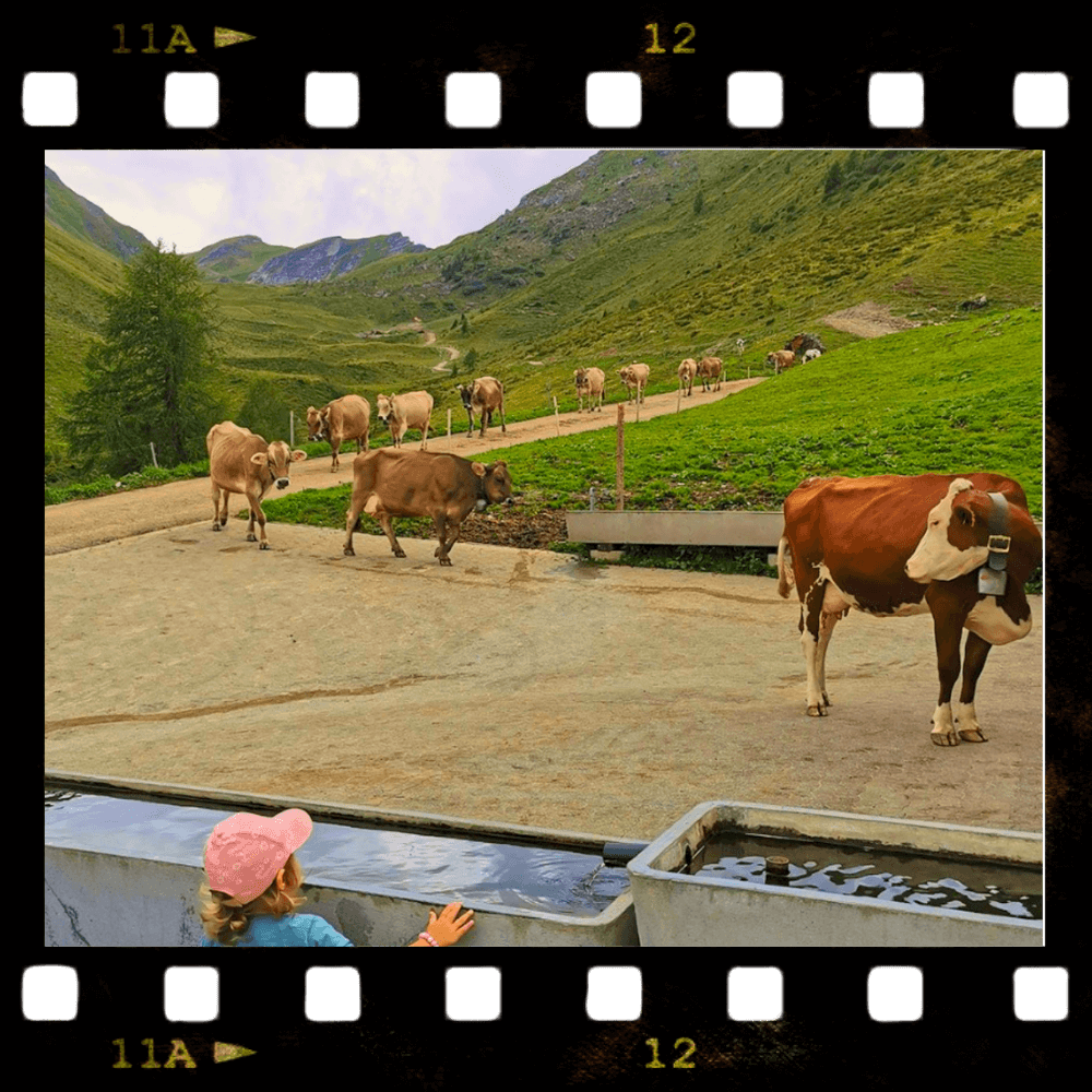 Kurze Wege – echte Qualität