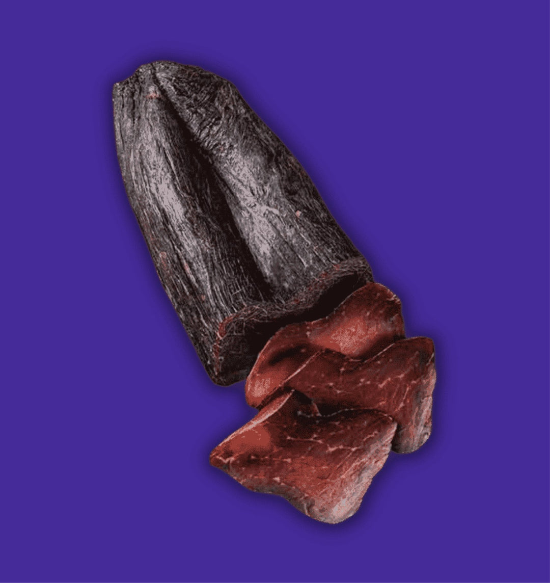 Bergfleisch für Heutage - Alpahirt