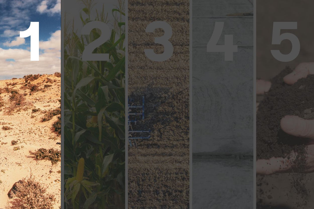 Desertifikation: Die Wüste vor unserer Haustür