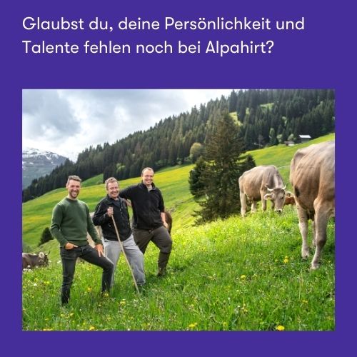 Werde Teil von Alpahirt - Initiativbewerbung