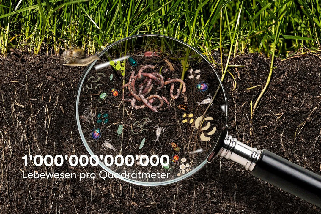 1’000’000’000’000 Lebewesen pro Quadratmeter!