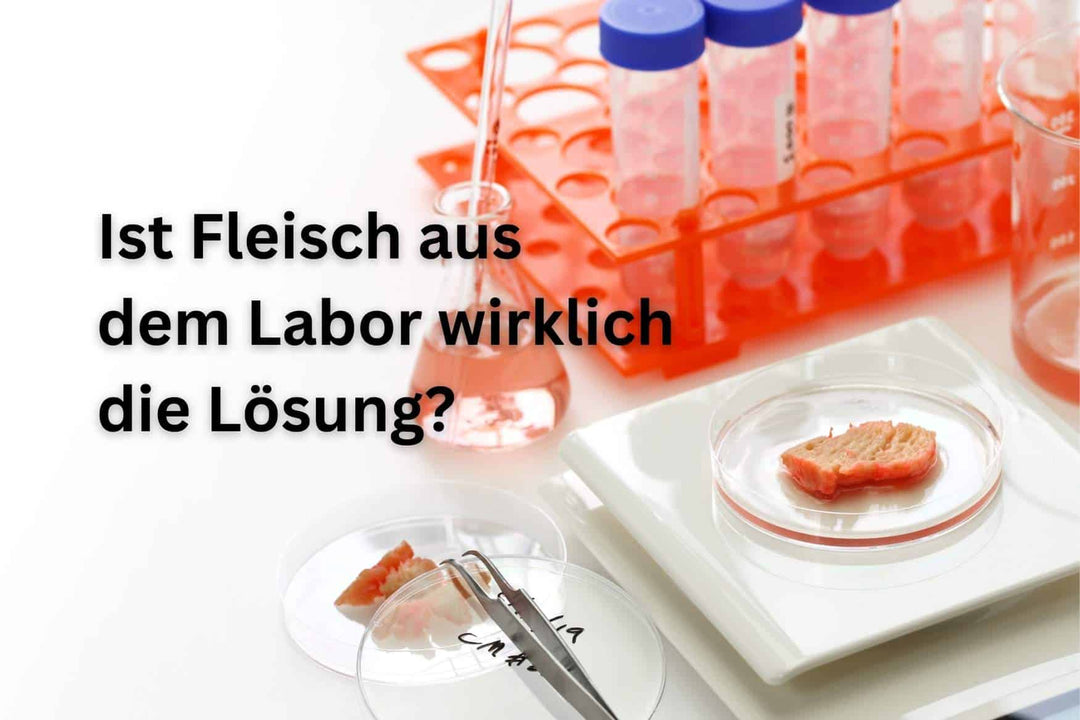 Clean Meat oder doch eher dirty? Ist Fleisch aus dem Labor wirklich die Lösung? - Alpahirt