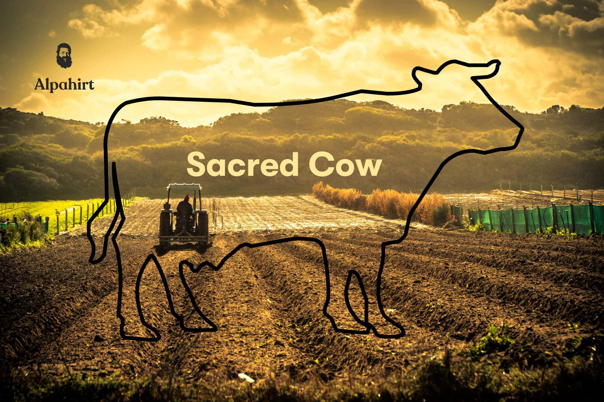 Die Philosophie hinter «Sacred Cow» und warum Alpahirt sie teilt - Alpahirt