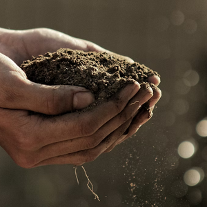 Degustation Naturaliss