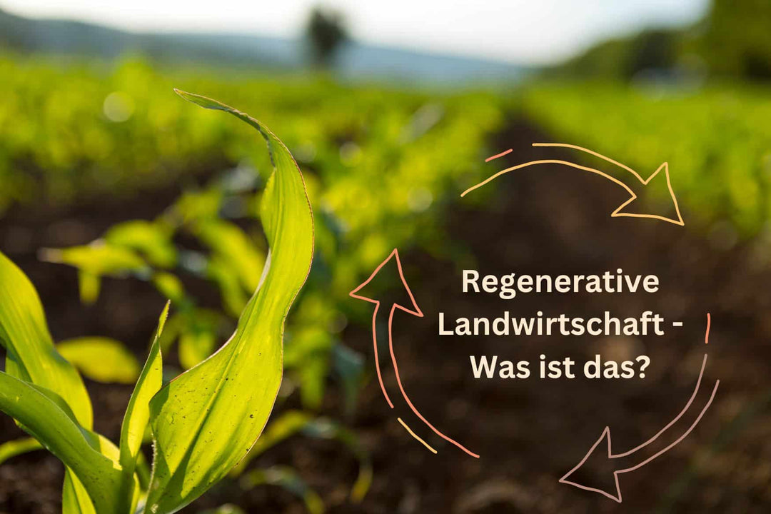 Regenerative Landwirtschaft – Was ist das? - Alpahirt