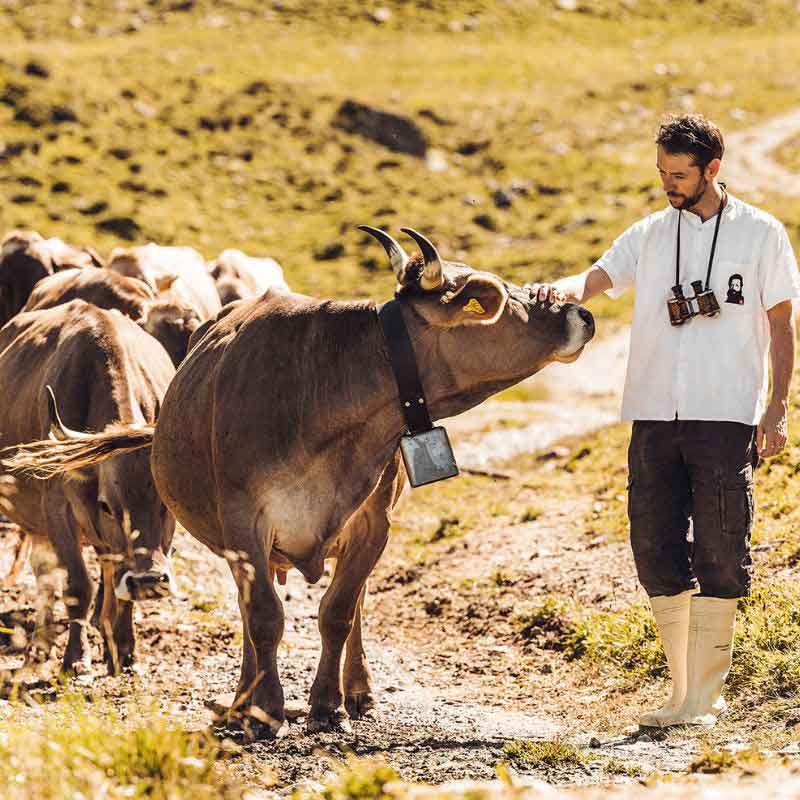 Was bedeutet Tierwohl für Alpahirt? - Alpahirt